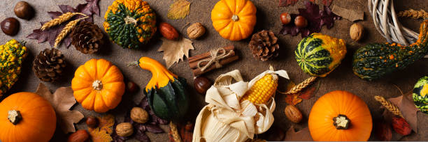 istock Autumn fall thanksgiving day composition with decorative pumpkins, banner 1454645533