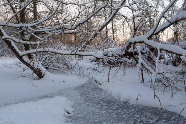 istock Landscape from snow covered trees with a frozen stream. Winter forest with small river for publication, design, poster, calendar, post, screensaver, wallpaper, card, cover. High quality photo 1454652771