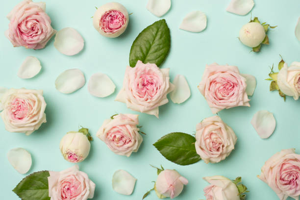 istock Flat lay with rose flowers on color background, top view 1454657545