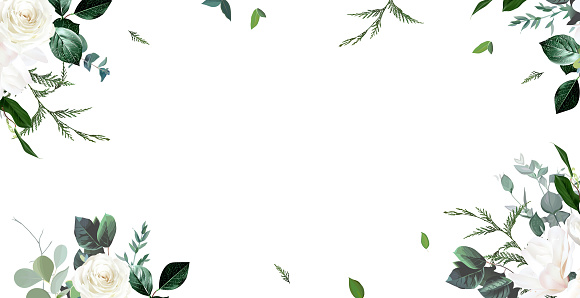 Ivory roses, white peony and magnolia, cedar, fern, eucalyptus, fern, salal, greenery, vector horizontal design banner. Spring bouque watercolor style card. All elements are isolated and editable