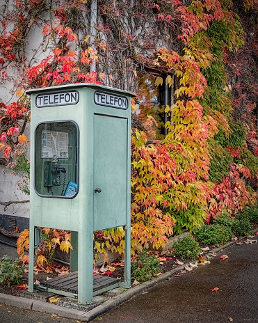 A vintage telephone booth on a corner of a street during autumn