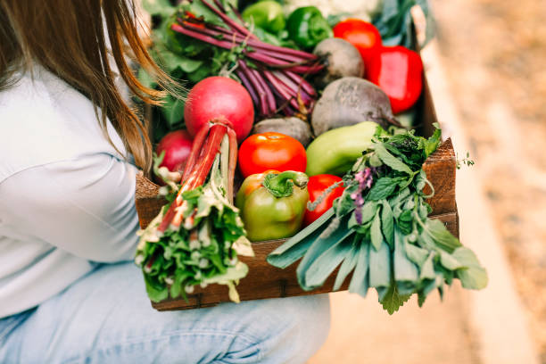 istock Crop female gardener showing vegetables 1454662756
