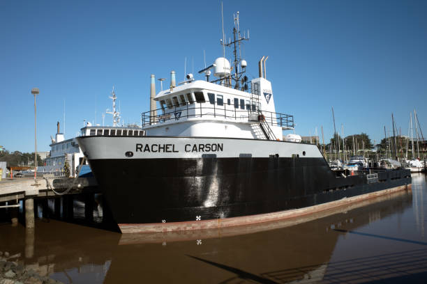 исследовательское морское судно рэйчел карсон - rachel carson стоковые фото и изображения
