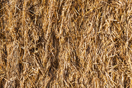 rustic textured background of a bale of golden wheat straw