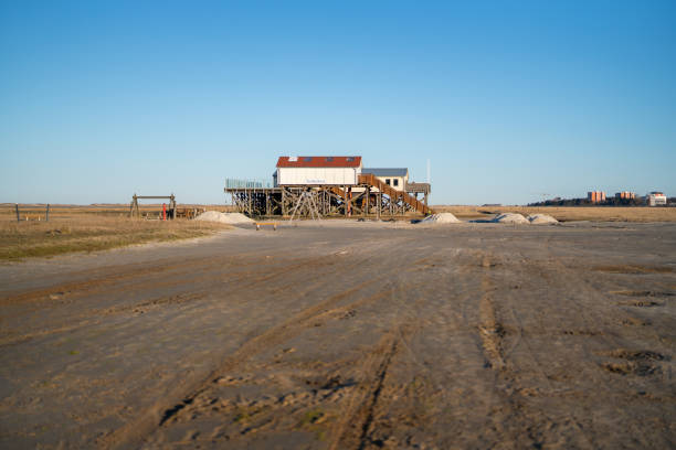 istock Salt meadow of St. Peter-Ording 1454665604