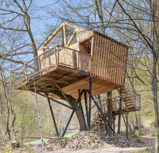 istock Beautiful wooden treehouse built in a park 1454672353