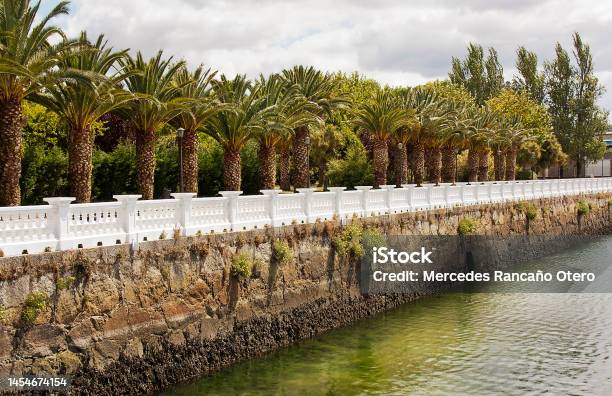 Parque Do Centenario Vilagarcía De Arousa Harbor Row Of Palm Trees Ancient Stone Dock And Baluster Galicia Spain Stock Photo - Download Image Now