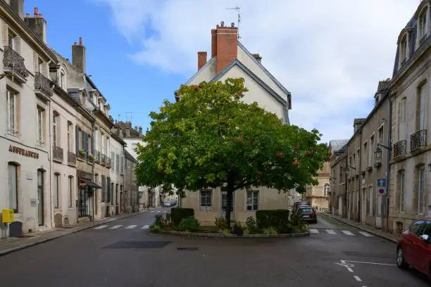 An unusual tree growing at the intersection of two ancient streets in the small town of Beaune, ancient buildings and the atmosphere of the Middle Ages. Burgundy, France - October2022