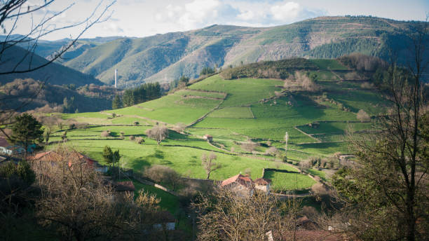 istock Green valley in Asturias 1454677498