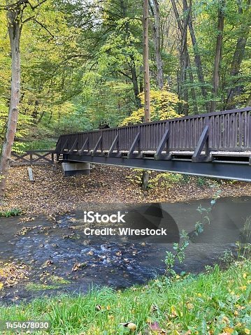 istock Small brown bridge over a stream surrounded by green trees and nature of Polish Ojcow National Park 1454678030