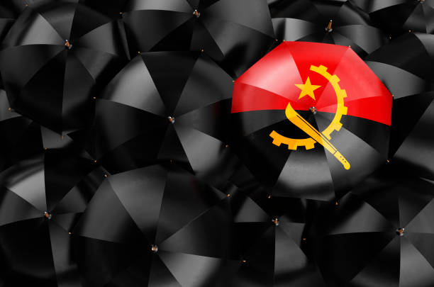 Flag Collection