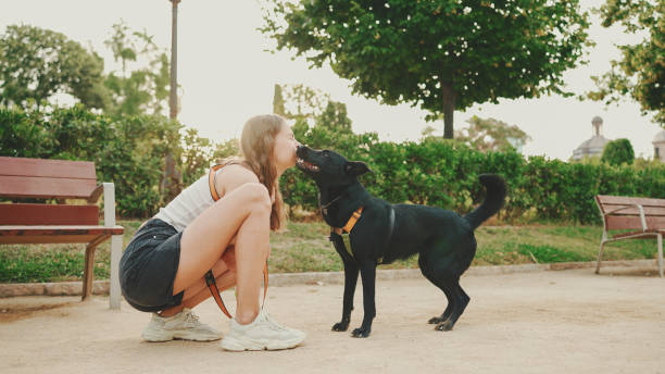 istock Girl walks along the path in the park with back dog. 1454680314