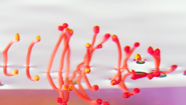 Botany concept, close up of long red and yellow pistils and stamens. Stock footage. Details of an unusual flower underwater.