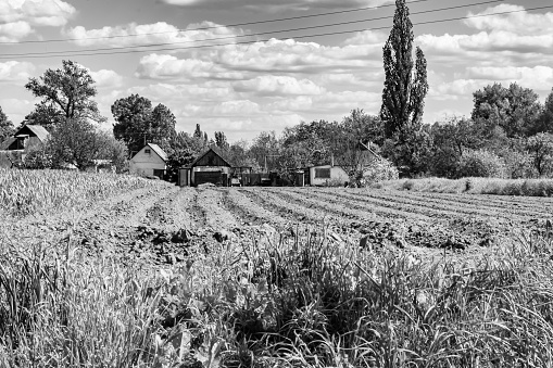 Photography on theme big empty farm field for organic harvest, photo consisting of large empty farm field for harvest on sky background, empty farm field for harvest this natural nature autumn season