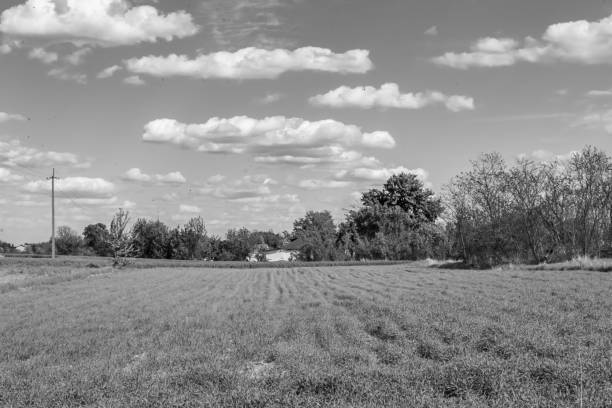 istock Photography on theme big empty farm field for organic harvest 1454683992