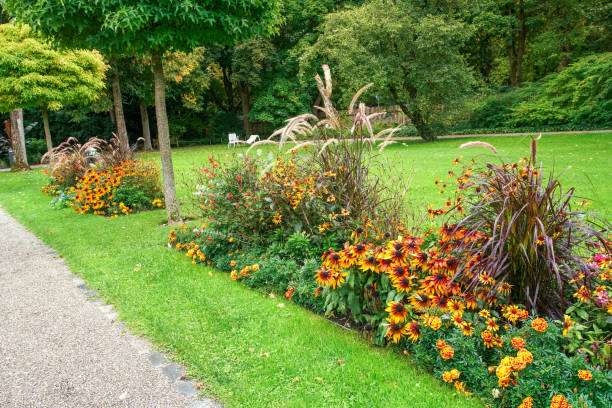 sentiero idilliaco nel giardino botanico con aiuola su entrambi i lati ad augusta - outdoor chair garden path waterfall falling water foto e immagini stock