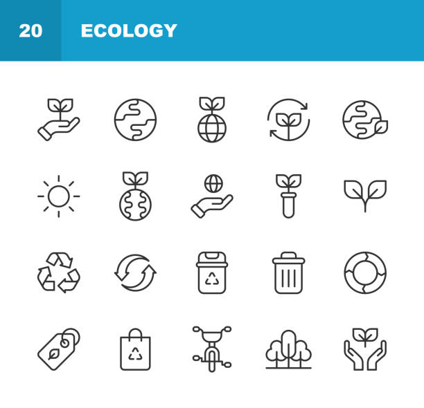Ecology Line Icons. Editable Stroke. Pixel Perfect. For Mobile and Web. Contains such icons as Agriculture, Charity, Climate, Donation, Earth, Electric Vehicle, Energy, Environment, Flower, Global Warming, Leaf, Nature, Plant, Recycling, Solar Energy. 20 Ecology Outline Icons. Agriculture, Animal, Bag, Battery, Bike, Bio, Biology, Charity, Clean Energy, Climate, Climate Change, Donation, Earth, Ecology, Electric Car, Electric Vehicle, Energy, Environment, Factory, Farm, Flask, Flower, Forest, Garbage Bin, Garbage Truck, Global Warming, Globe, Green, Hand, Leaf, Lightbulb, Nature, Organic, Park, Petrol Station, Plant, Pollution, Recycling, Shopping, Solar Energy, Sun, Tag, Volunteer Work, Waste, Water, Wind. volunteer garbage pick up stock illustrations