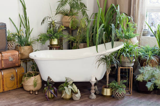 istock Bathroom with bathtub and green plants 1454686902
