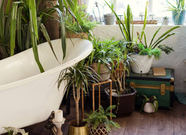 istock Bathroom with bathtub and green plants 1454686922