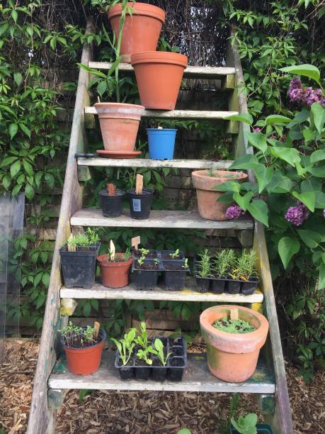 istock old staircase with flower pots 1454688235