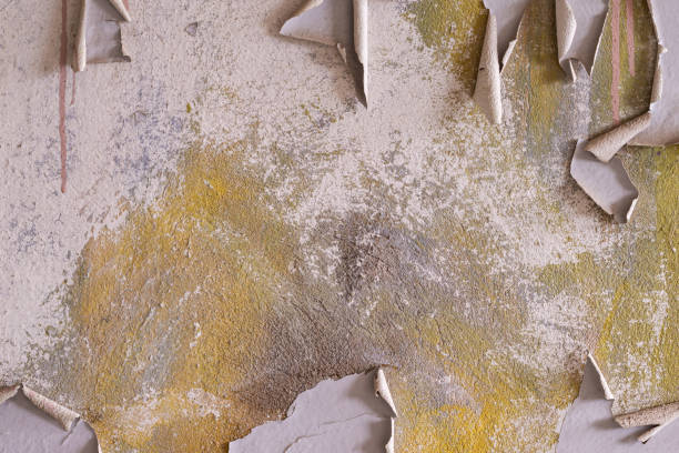 istock Old weathered wall. Textured background. Grunge texture. Flaking paint 1454688276
