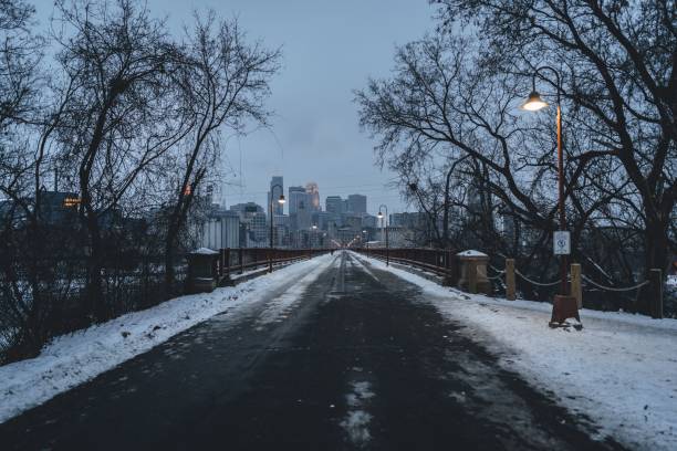 istock Beautiful view of a road lined with leafless trees during winter 1454689371