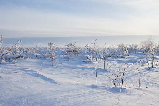 Frozen lake with boreal forest (taiga) and tundra in background at Wapusk national park, Canada, during blizzard.