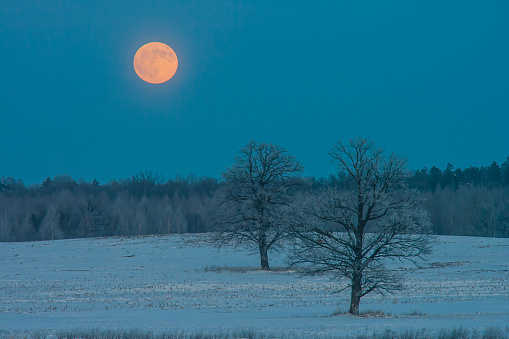 Super moon rising over Fisher Peak in the Canadian Rocky Mountains