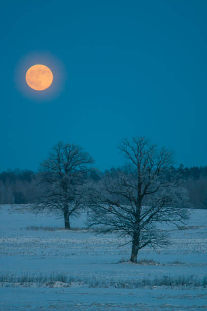 istock Moon over the field. Night winter landscape 1454690979