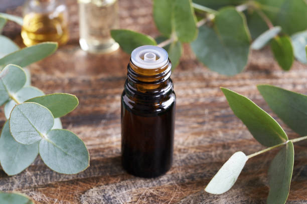 une bouteille d’huile essentielle avec des feuilles d’eucalyptus fraîches - huile essentielle eucalyptus globulus photos et images de collection