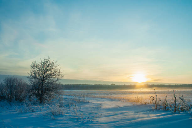 istock Sunset. Winter landscape. Clear day. Fog 1454691786