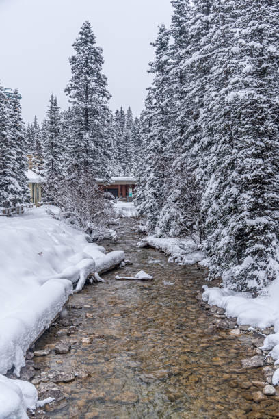 istock Lake Louise in Banff Park 1454692000