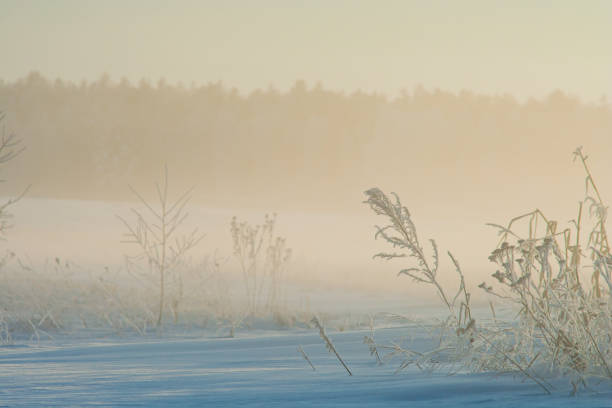 istock Sunset. Winter landscape. Clear day. Fog 1454692882