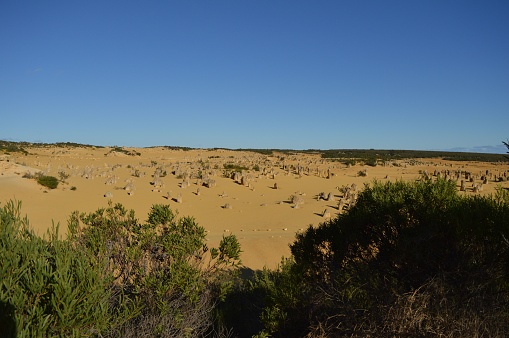 sandy desert in the Australian outback