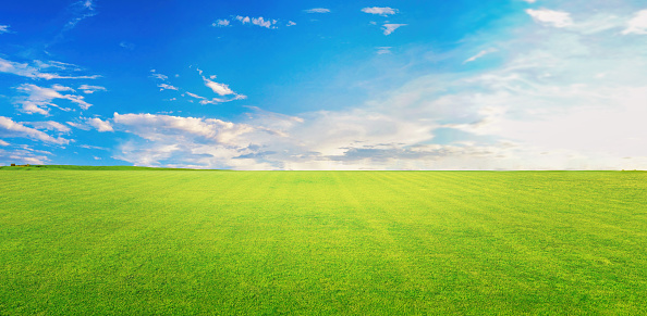 Green grass field under blue sky.