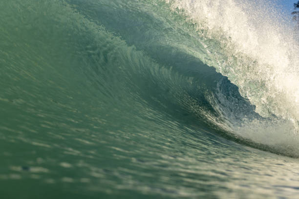 A perfect surfing wave tubing on the east coast of the Coromandel Peninsula. NZ