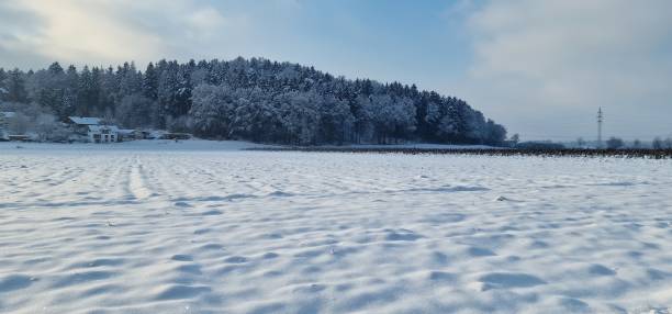 istock Winter landscape, snow-covered, small forest in the background 1454698573