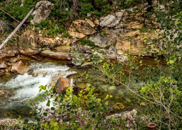 istock Akamina Parkway Waterton Lakes National Park Alberta Canada 1454701805