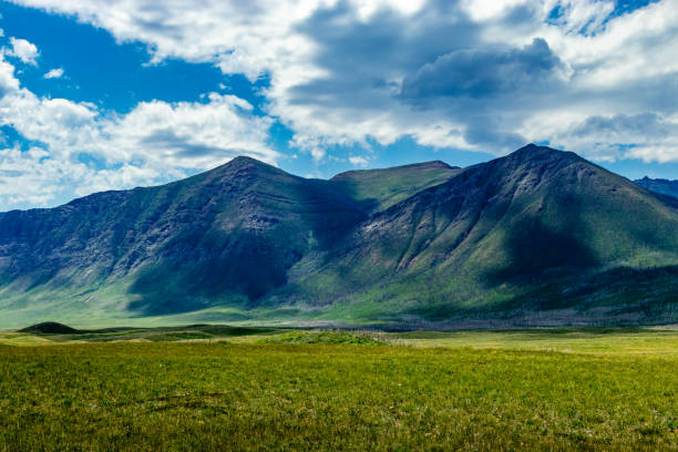istock Bison Loop Waterton Lakes National Park Alberta Canada 1454701880