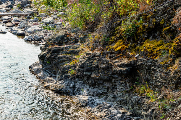 istock Blakiston Creek Waterton Lakes National Park Alberta Canada 1454701944