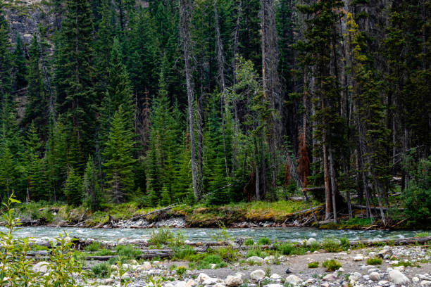 istock Sunshine Mountain Road Banff National Park Alberta Canada 1454702465