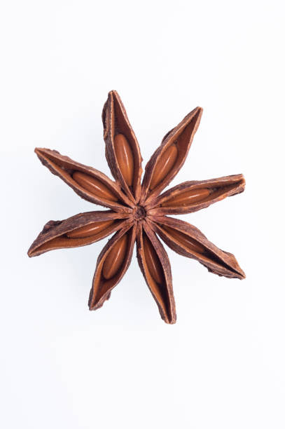 istock illicium verum anise star on white 1454711142