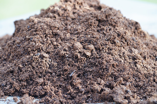 Peat moss, fertilizer soil for organic agriculture, plant growing, ecology concept.