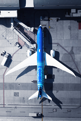 Aerial view of Air Tahiti Nui Boeing 787 parked at Los Angeles International Airport.

Date: Oct 23, 2021