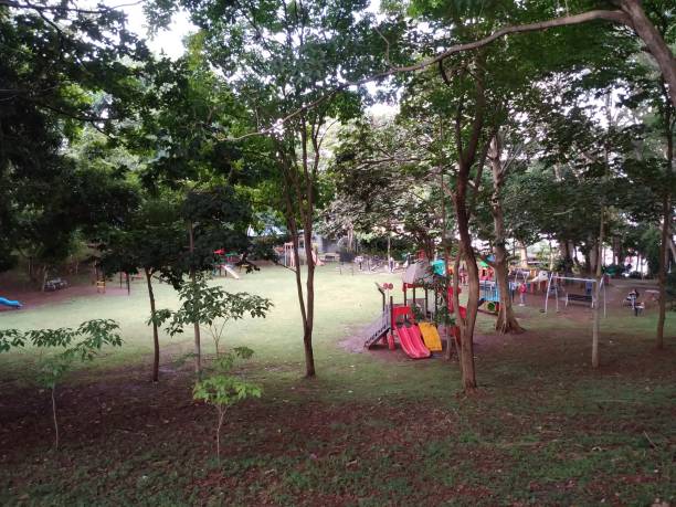 istock park trees with games for children 1454717605