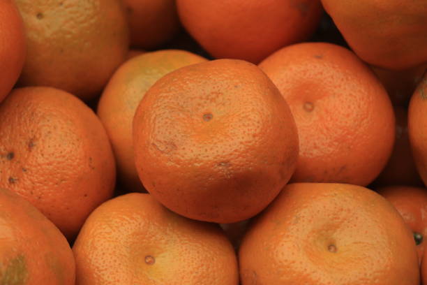 istock Fresh organic oranges on display on sunny day. 1454718619