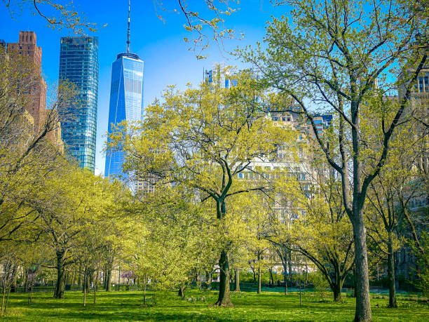 istock New York City 1454722594