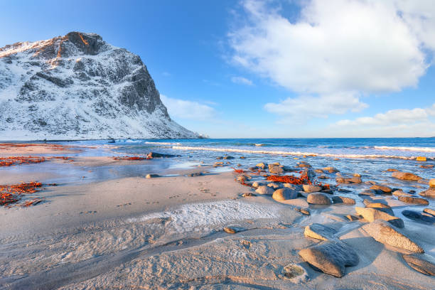 istock Fabulous winter scenery on Uttakleiv beach at morning 1454723876