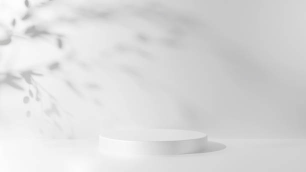 istock 3D Illustration.White column base on a luxurious white background. Shadow of tree leaves. Product, cosmetic pedestal. (Horizontal) 1454725214