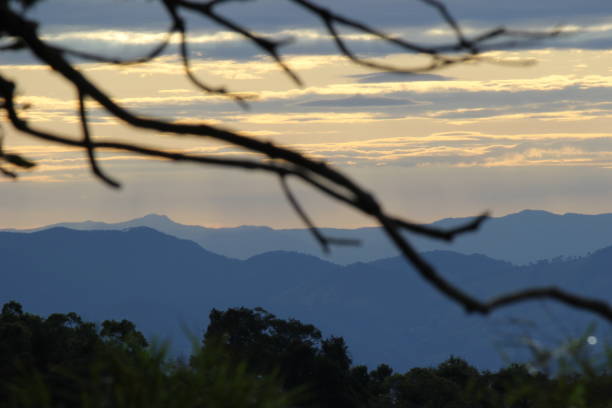 istock Branches and the mountains in the dark 1454726564